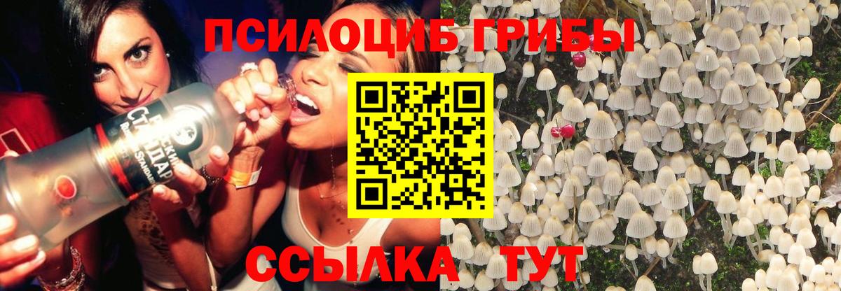 Асбест  Галлюциногенные грибы Magic Shrooms  Вход с VPN 